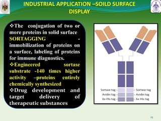INDUSTRIAL APPLICATION –SOILD SURFACE
DISPLAY
25
The conjugation of two or
more proteins in solid surface
SORTAGGING -
immobilization of proteins on
a surface, labeling of proteins
for immune diagnostics.
Engineered sortase
substrate -140 times higher
activity –proteins entirely
chemically synthesized
Drug development and
target delivery of
therapeutic substances
 
