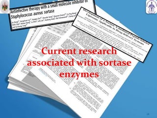 Current research
associated with sortase
enzymes
28
 