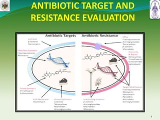 ANTIBIOTIC TARGET AND
RESISTANCE EVALUATION
4
 