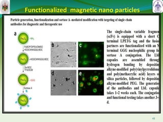 Functionalized magnetic nano particles
43
 