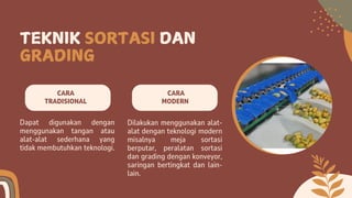 sortasi dan grading DPK kelas 10 smk aphp | PDF