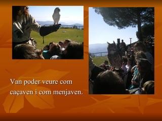 Van poder veure com  caçaven i com menjaven. 