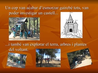 Un cop van acabar d’esmorzar gairebé tots, van poder investigar un castell...  ...i també van explorar el terra, arbres i plantes del voltant.  