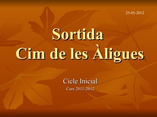Sortida  Cim de les Àligues Cicle Inicial Curs 2011-2012 25-01-2012 