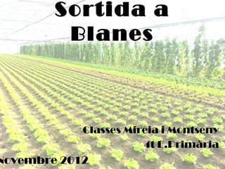 Sortida a
         Blanes



            Classes Mireia i Montseny
                       4t E.Primària
Novembre 2012
 