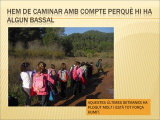 AQUESTES ÚLTIMES SETMANES HA PLOGUT MOLT I ESTÀ TOT FORÇA HUMIT. 