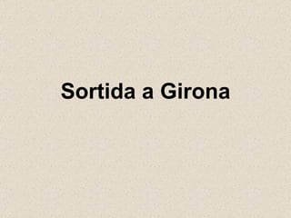 Sortida a Girona 