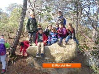 El Plat del Molí
 