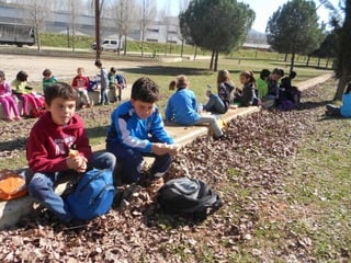 Sortida a la ruta prehistòrica