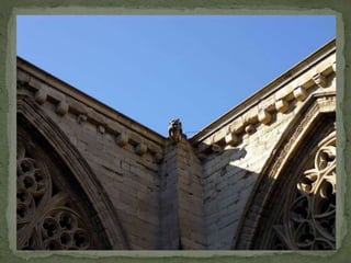 Sortida a la seu vella