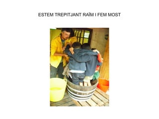 ESTEM TREPITJANT RAÏM I FEM MOST 