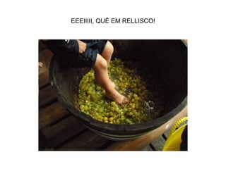 EEEIIIII, QUÈ EM RELLISCO! 