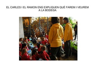 EL CARLES I EL RAMON ENS EXPLIQUEN QUÈ FAREM I VEUREM A LA BODEGA 