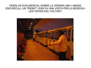 VEIEM UN DOCUMENTAL SOBRE LA VEREMA ARA I ABANS. ENS RECULL UN TRENET I ENS FA UNA VISITA PER LA BODEGA I LES VINYES DEL VOLTANT. 