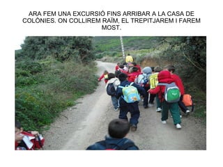 ARA FEM UNA EXCURSIÓ FINS ARRIBAR A LA CASA DE COLÒNIES. ON COLLIREM RAÏM, EL TREPITJAREM I FAREM MOST. 