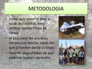 METODOLOGIA
• Donat que tenim el bosc a
tocar de l’institut, hem
utilitzat només l’hora de
classe.
• Al bosc hem fet una breu
introducció teòrica, repàs del
que ja havíem parlat a classe.
• Hem fet pluja d’idees de què
podríem buscar i aprendre.
 