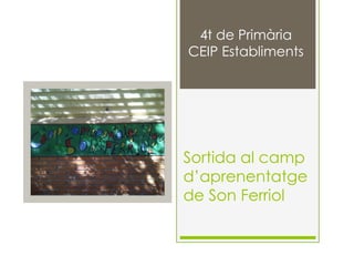 4t de Primària
CEIP Establiments

Sortida al camp
d’aprenentatge
de Son Ferriol

 