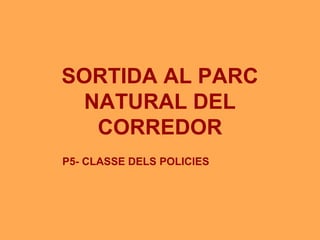 SORTIDA AL PARC
NATURAL DEL
CORREDOR
P5- CLASSE DELS POLICIES
 