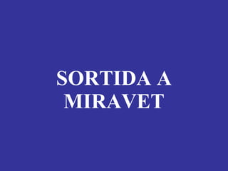 SORTIDA A MIRAVET 