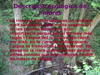Descripció ecològica de l’indret La riera de Vallcàrquera es un ambient molt saludable, amb molta vegetació i on les plantes tenen una gran importància perquè fan el terreny més rugós i l’aigua del riu no va tan ràpid, per això, en la riera de Vallcàrquera, l’aigua és tranquil·la i transparent. En zones de la riera podem trobar perles i altres animals que ens indiquen l’estat de neteja de l’aigua.  