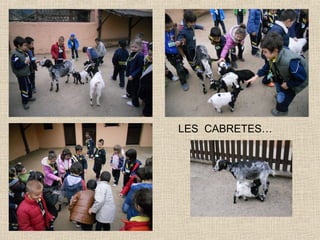 LES CABRETES…