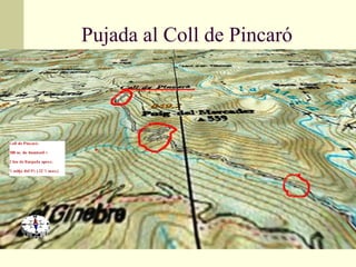 Pujada al Coll de Pincaró 
