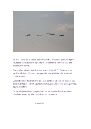 Els nins i nines de la classe, a les vuit i mitja, estàvem a punt per agafar 
l’autobús cap al Salobrar de Campos. Arribàrem al salobrar i allà ens 
esperava en Tomeu. 
Començàrem la visita explicant el procés de la sal. En Tomeu ens va 
explicar els tipus d’estanys: evaporador, encalentidor, alimentador i 
cristal·litzador. 
Vàrem berenar devora la Flor de Sal. A continuació anàrem a veure aus 
amb els binocles i vàrem veure : flamencs, avisadors, colls blaus, gavines, 
àguila peixatera. 
De tot, el que més em va agradar va ser veure volar flamencs sobre 
nosaltres. Em va agradar perquè és una cosa única. 
Joan Vidal 
 
