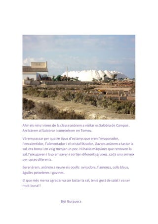 Ahir els nins i nines de la classe anàrem a visitar es Salobra de Campos. 
Arribàrem al Salobrar i coneixérem en Tomeu. 
Vàrem passar per quatre tipus d’estanys que eren l’evaporador, 
l’encalentidor, l’alimentador i el cristal·litzador. Llavors anàrem a tastar la 
sal, era bona i en vaig menjar un poc. Hi havia màquines que rentaven la 
sal, l’eixugaven i la premsaven i sortien diferents gruixes, cada una serveix 
per coses diferents. 
Berenàrem, anàrem a veure els ocells: avisadors, flamencs, colls blaus, 
àguiles peixeteres i gavines. 
El que més me va agradar va ser tastar la sal, tenia gust de salat i va ser 
molt bona!! 
Biel Burguera 
 