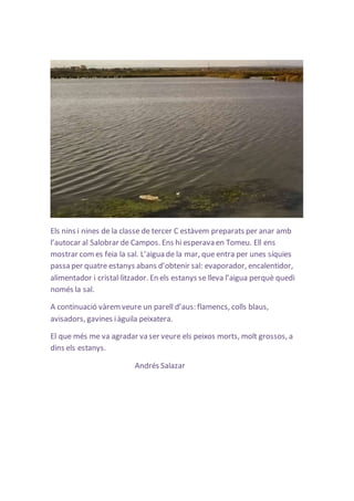Els nins i nines de la classe de tercer C estàvem preparats per anar amb 
l’autocar al Salobrar de Campos. Ens hi esperava en Tomeu. Ell ens 
mostrar com es feia la sal. L’aigua de la mar, que entra per unes síquies 
passa per quatre estanys abans d’obtenir sal: evaporador, encalentidor, 
alimentador i cristal·litzador. En els estanys se lleva l’aigua perquè quedi 
només la sal. 
A continuació vàrem veure un parell d’aus: flamencs, colls blaus, 
avisadors, gavines i àguila peixatera. 
El que més me va agradar va ser veure els peixos morts, molt grossos, a 
dins els estanys. 
Andrés Salazar 
 