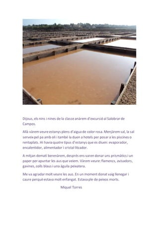Dijous, els nins i nines de la classe anàrem d’excursió al Salobrar de 
Campos. 
Allà vàrem veure estanys plens d’aigua de color rosa. Menjàrem sal, la sal 
serveix pel pa amb oli i també la duen a hotels per posar a les piscines o 
rentaplats. Hi havia quatre tipus d’estanys que es diuen: evaporador, 
encalentidor, alimentador i cristal·litzador. 
A mitjan dematí berenàrem, després ens varen donar uns prismàtics i un 
paper per apuntar les aus que veiem. Vàrem veure: flamencs, avisadors, 
gavines, colls blaus i una àguila peixatera. 
Me va agradar molt veure les aus. En un moment donat vaig llenegar i 
caure perquè estava molt enfangat. Estava ple de peixos morts. 
Miquel Torres 
