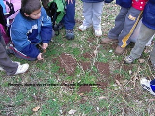 Finalment, aquests que es dediquen a fer tants pilonets de terra... Qui  són? 