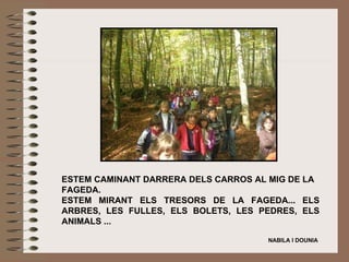 ESTEM CAMINANT DARRERA DELS CARROS AL MIG DE LA FAGEDA. ESTEM MIRANT ELS TRESORS DE LA FAGEDA... ELS ARBRES, LES FULLES, ELS BOLETS, LES PEDRES, ELS ANIMALS ...    NABILA I DOUNIA   