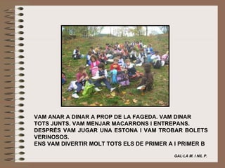 VAM ANAR A DINAR A PROP DE LA FAGEDA. VAM DINAR TOTS JUNTS. VAM MENJAR MACARRONS I ENTREPANS. DESPRÉS VAM JUGAR UNA ESTONA I VAM TROBAR BOLETS VERINOSOS. ENS VAM DIVERTIR MOLT TOTS ELS DE PRIMER A I PRIMER B   GAL·LA M. I NIL P.   