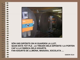                                               SÓN UNS DIPÒSITS ON HI GUARDEN LA LLET. QUAN ESTÀ TOT PLE , LA TREUEN DELS DIPÒSITS I LA PORTEN CAP A LA FÀBRICA DELS IOGURTS. FAN IOGURTS DE LLIMONA, MADUIXA, XOCOLATA ....     GIDEON I ÈLIA   