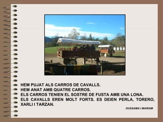 HEM PUJAT ALS CARROS DE CAVALLS.  HEM ANAT AMB QUATRE CARROS. ELS CARROS TENIEN EL SOSTRE DE FUSTA AMB UNA LONA. ELS CAVALLS EREN MOLT FORTS. ES DEIEN PERLA, TORERO, XARLI I TARZAN. OUSSAMA I MARIAM 