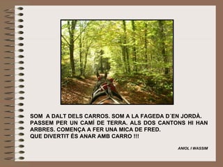 SOM  A DALT DELS CARROS.  SOM A LA FAGEDA D´EN JORDÀ. PASSEM PER UN CAMÍ DE TERRA. ALS DOS CANTONS HI HAN ARBRES. COMENÇA A FER UNA MICA DE FRED. QUE DIVERTIT ÉS ANAR AMB CARRO !!!   ANIOL I WASSIM   