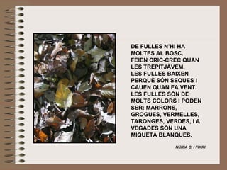 DE FULLES N’HI HA MOLTES AL BOSC. FEIEN CRIC-CREC QUAN LES TREPITJÀVEM.  LES FULLES BAIXEN PERQUÈ SÓN SEQUES I CAUEN QUAN FA VENT. LES FULLES SÓN DE MOLTS COLORS I PODEN SER: MARRONS, GROGUES, VERMELLES, TARONGES, VERDES, I A VEGADES SÓN UNA MIQUETA BLANQUES.   NÚRIA C. I FIKRI   
