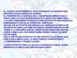 EL PASSAT 26 DE FEBRER EL CICLE D’INFANTIL VA GAUDIR D’UNA
SORTIDA A SANTA AGNÈS DE CORONA.
EL PROPÒSIT DE LA SORTIDA ERA L’OBSERVACIÓ DIRECTA DELS
AMETLLERS I LA SEVA REPRESENTACIÓ PLÀSTICA EN TEMPS REAL.
A CLASSE PRÈVIAMENT HAVIEM FET UNES ACTIVITATS PER SABER ELS
CONEIXEMENTS QUE ELLS TENIEN DE L’AMETLLER.
UNA DE LES ACTIVITATS QUE MÉS ELS VA AGRADAR VA SER LA DE
DECORAR UN AMETLLER AMB LES SEVES CORRESPONENTS FLORS.
TAMBÉ A LA PISSARRA DIGITAL VAREM ESTAR MIRAR IMATGES DE
FLORS D’AMETLLER, PER SABER QUINA FORMA TENIEN I DE QUIN
COLOR EREN.
UNA ALTRE DE LES ACTIVITAT VA SER CONTAR LA LLEGENDA QUE
PARLA DELS AMETLLERS I LA SEVA FEINETA CORRESPONENT.
A CONTINUACIÓ LA PODREU LLEGIR.
I COM A ACTIVITAT FINAL EL DIA DE LA SORTIDA ELS NENS VAREN
DIBUIXAR ELS AMETLLERS QUE ESTAVEN VEIENT.
 