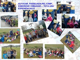 AUTOCAR, PASSEJADA PEL CAMP,
ESMORZAR I DIBUIXAR.... TOTA UNA
EXPERIÈNCIA!!!!!
 