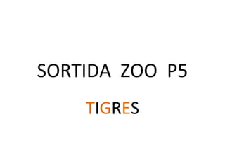SORTIDA ZOO P5
TIGRES
 