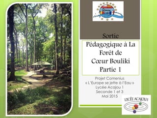 Sortie
Pédagogique à La
Forêt de
Cœur Bouliki
Partie 1
Projet Comenius
« L’Europe se jette à l’Eau »
Lycée Acajou 1
Seconde 1 et 3
Mai 2015
 