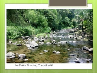 La Rivière
La Rivière Blanche, Cœur Bouliki
 