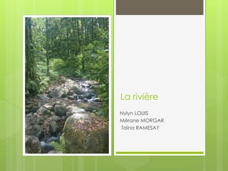 La rivière
Nylyn LOUIS
Mérane MORGAR
Taïna RAMESAY
 