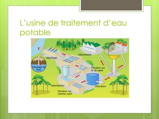 L’usine de traitement d’eau
potable
 