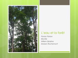 L’eau et la forêt
Florian Florian
Elie Elie
Willem Séraline
Doreen Rochemont
 