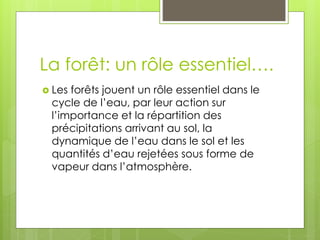 La forêt: un rôle essentiel….
 Les forêts jouent un rôle essentiel dans le
cycle de l’eau, par leur action sur
l’importance et la répartition des
précipitations arrivant au sol, la
dynamique de l’eau dans le sol et les
quantités d’eau rejetées sous forme de
vapeur dans l’atmosphère.
 