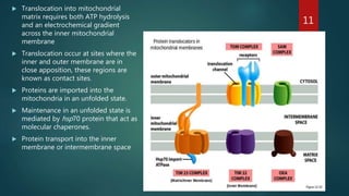 Sorting and sorting and regulation of intracellular transport | PPTX