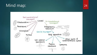 Sorting and sorting and regulation of intracellular transport | PPTX