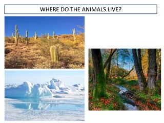 WHERE DO THE ANIMALS LIVE?
 
