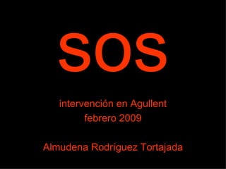 sos intervención en Agullent febrero 2009 Almudena Rodríguez Tortajada 
